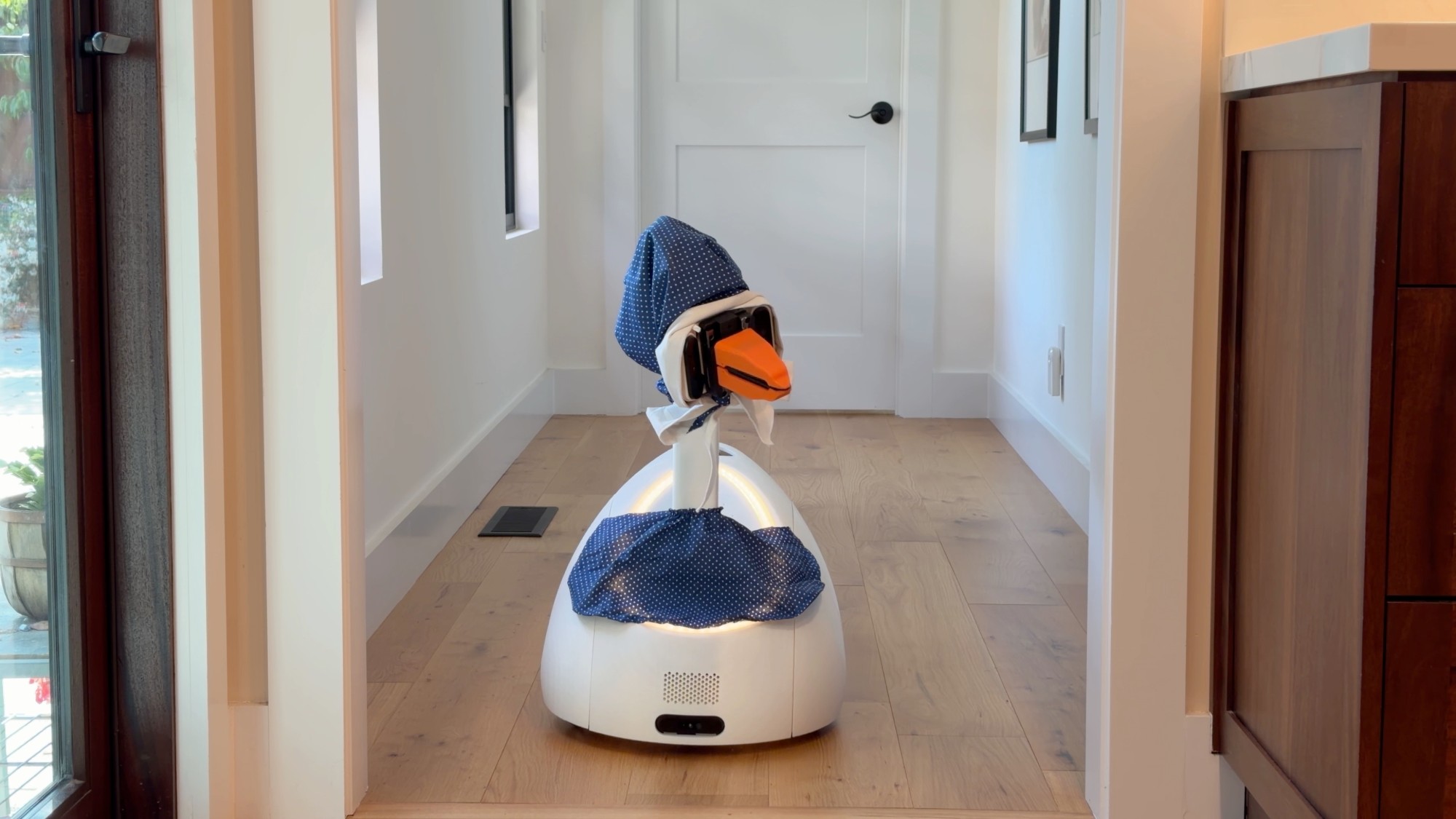 Goose stands in a bright hallway, wearing a navy polka-dot cover over its head and base, orange beak turned toward the camera