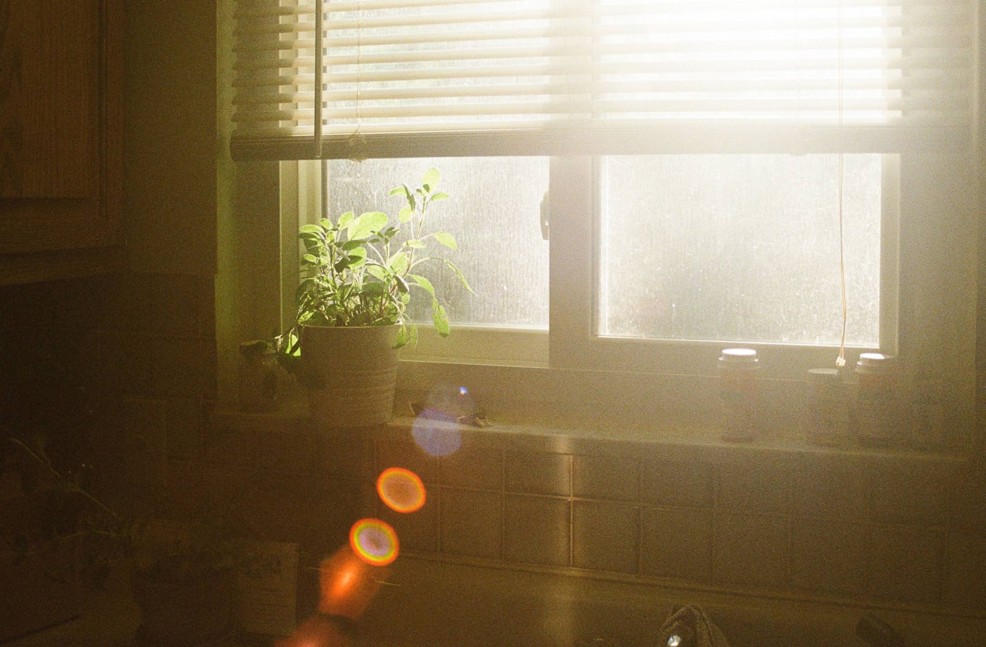 Warm morning light across a home kitchen